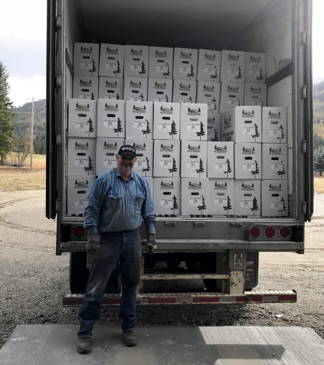 Picture of carefully packaged sapplings in Salmon Arm, British Columbia